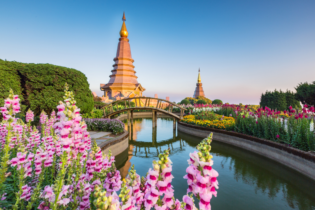 paysage chiang mai
