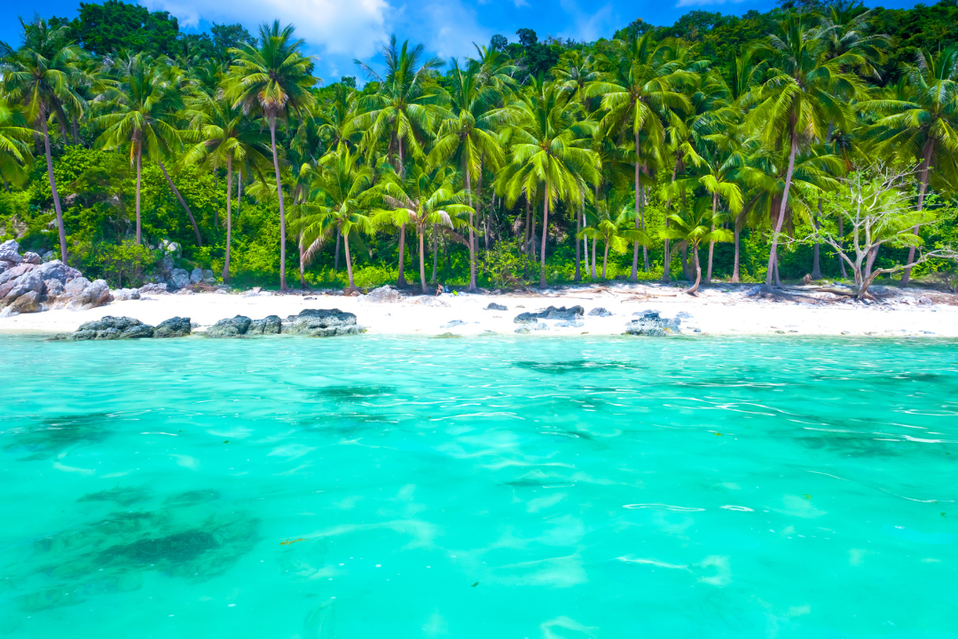 Paysage samui